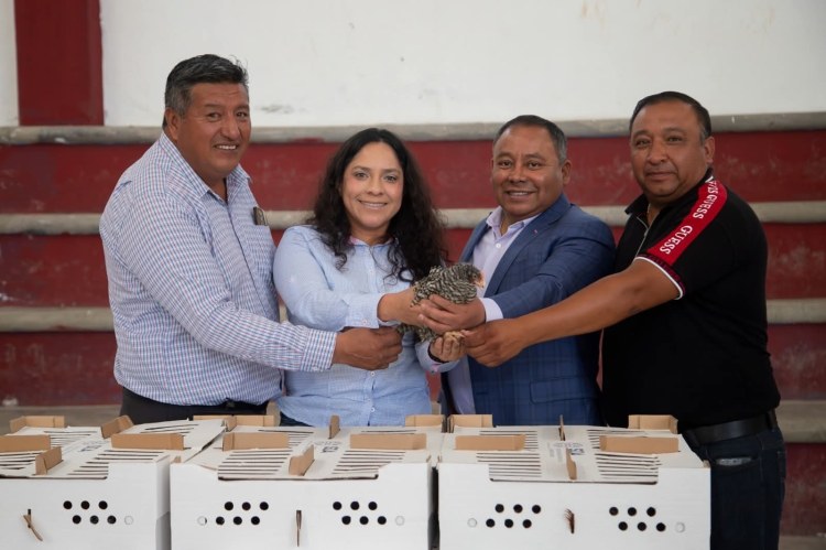 🐤🐤FORTALECE APIZACO LA AUTOSUFICIENCIA ALIMENTARIA CON LA ENTREGA DE MÁS DE 360 PAQUETES DE ESPECIES MENORES EN&nbsp;TEXCALAC🐤🐤